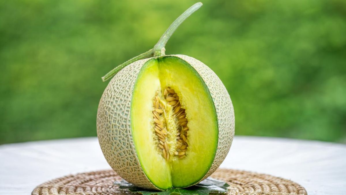 Melon Putih