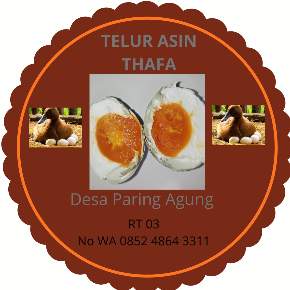 Peternakan Itik Petelur